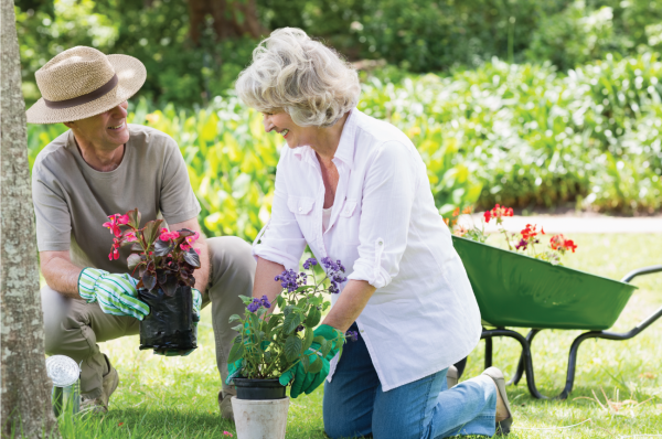 nursing home residents gardening